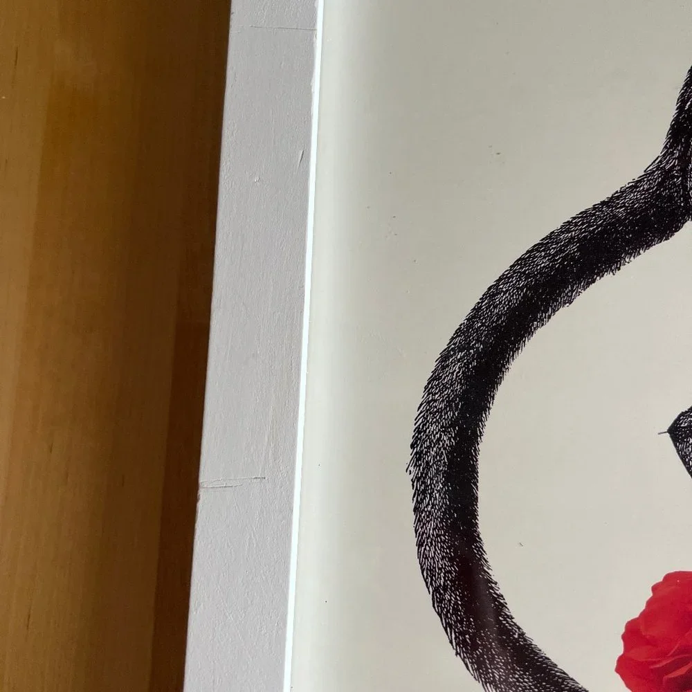 Urban Outfitters Framed Art - Picture 4 of 8